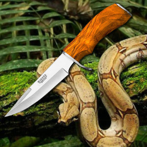 Tiger 5-3/4" Hunting Knife - Olive Wood Handle