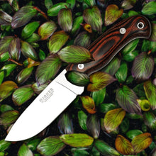 Load image into Gallery viewer, Montes 4-1/4" Camping Knife - Stamina Wood Handle