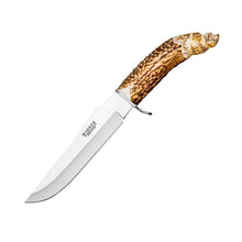 Load image into Gallery viewer, Facochero 6-3/4" Hunting Knife - Stag Deer Point Handle