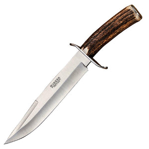 Zorro 8" Hunting Knife - Stag Horn Handle