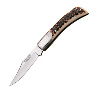 Collie 3-3/8" Camping Folding Knife - Stag Horn Handle